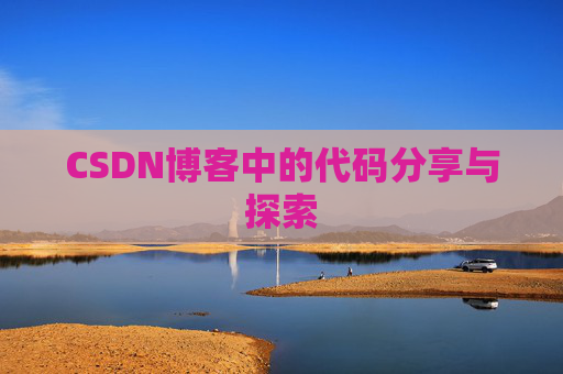 CSDN博客中的代码分享与探索