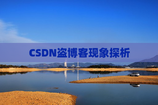 CSDN盗博客现象探析